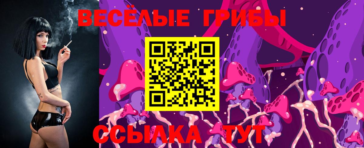 Галлюциногенные грибы Psilocybine cubensis  Галлюциногенные грибы Magic Shrooms  Вход с VPN  Рассказово 